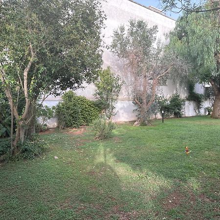 Villa Teresa Maria Porto Cesareo Kültér fotó