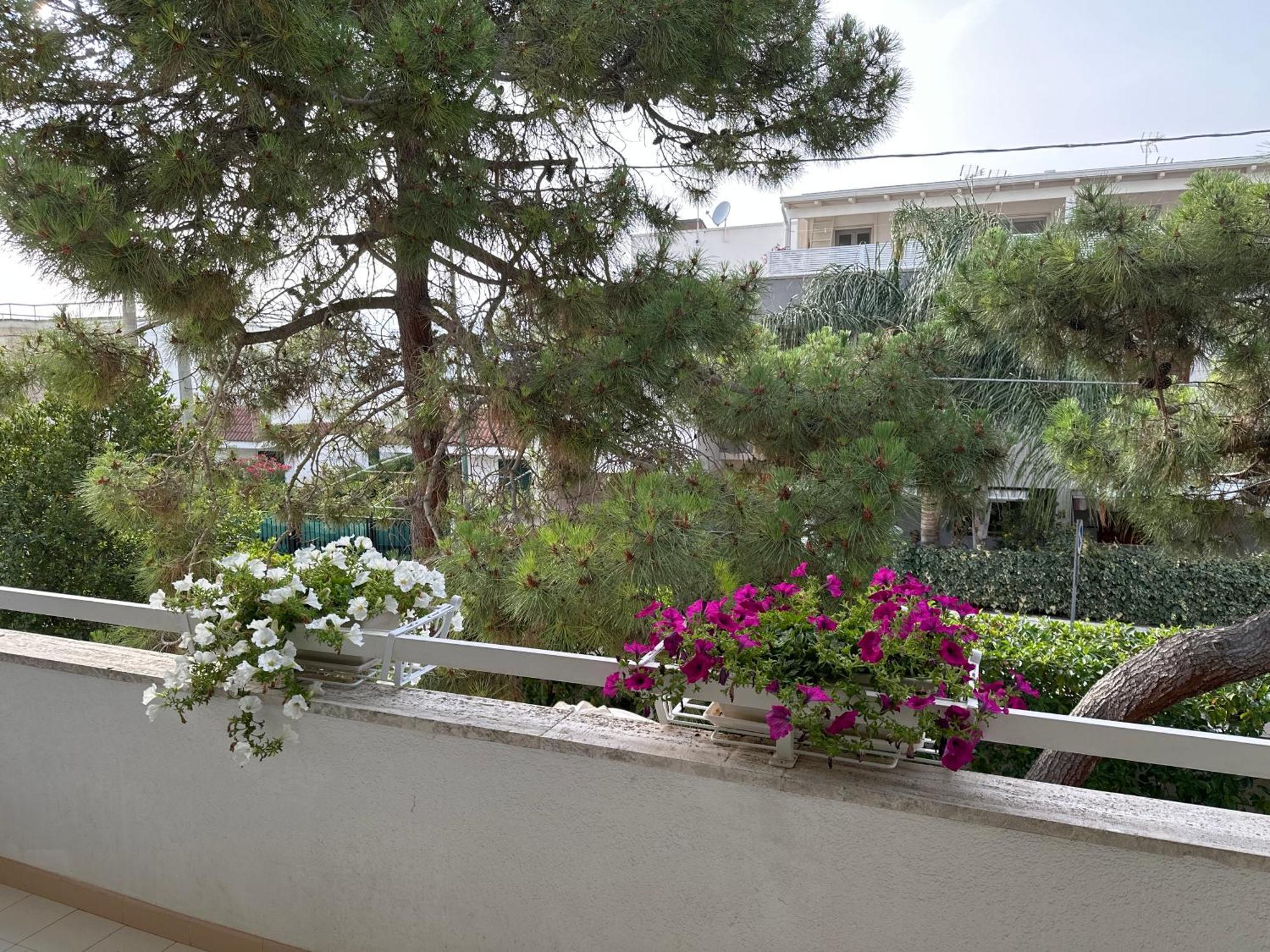 Villa Teresa Maria Porto Cesareo Kültér fotó